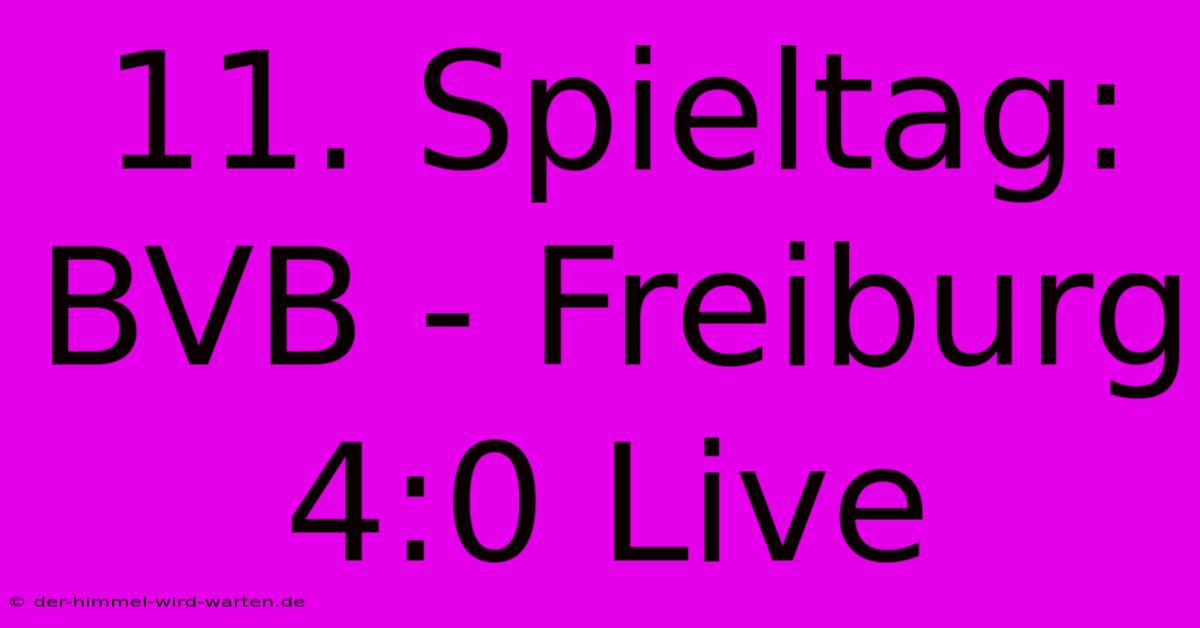 11. Spieltag: BVB - Freiburg 4:0 Live