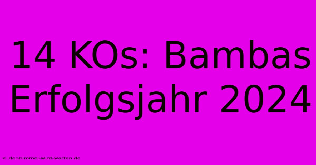 14 KOs: Bambas Erfolgsjahr 2024