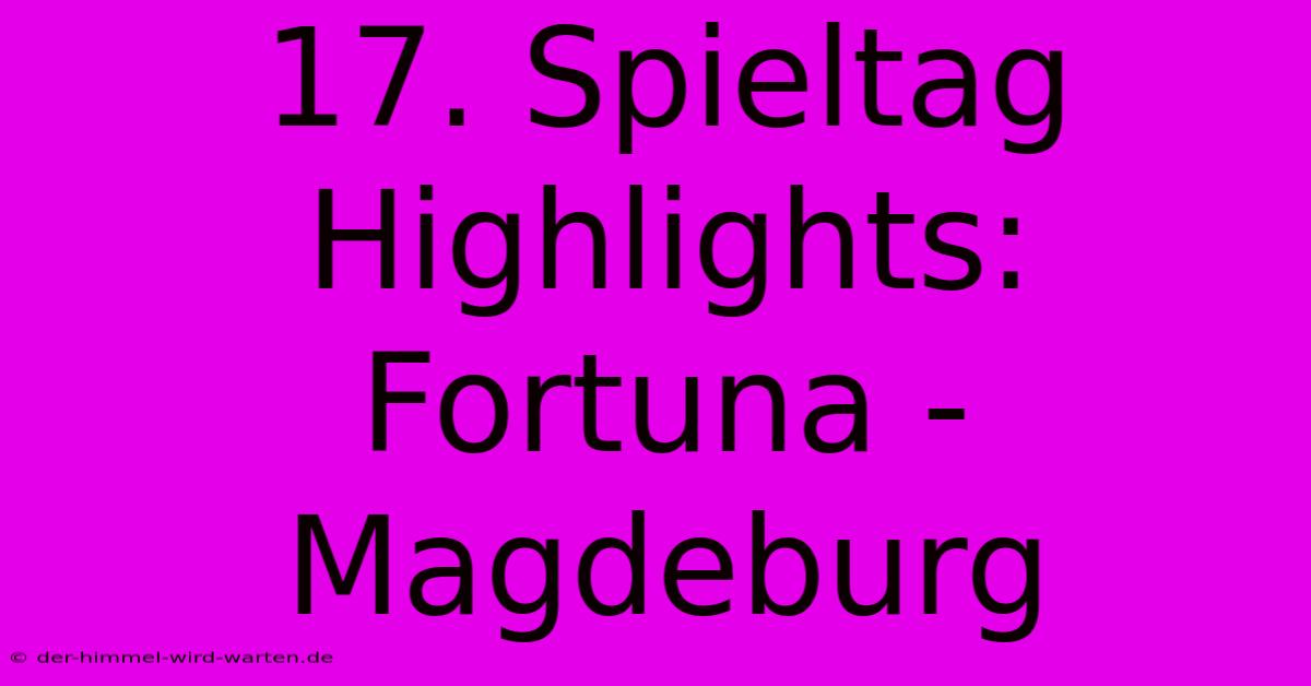 17. Spieltag Highlights: Fortuna - Magdeburg