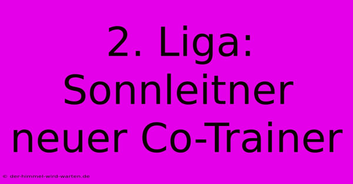 2. Liga: Sonnleitner Neuer Co-Trainer