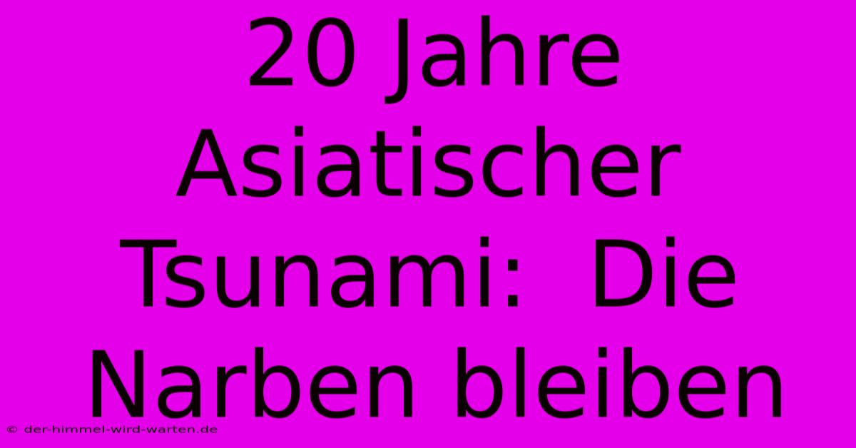 20 Jahre Asiatischer Tsunami:  Die Narben Bleiben