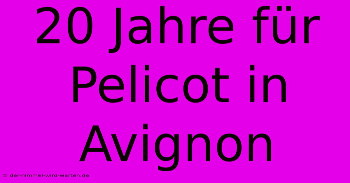 20 Jahre Für Pelicot In Avignon