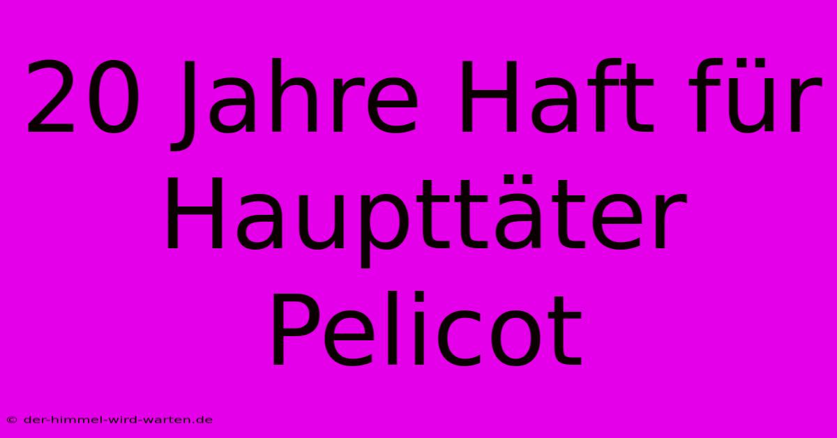 20 Jahre Haft Für Haupttäter Pelicot