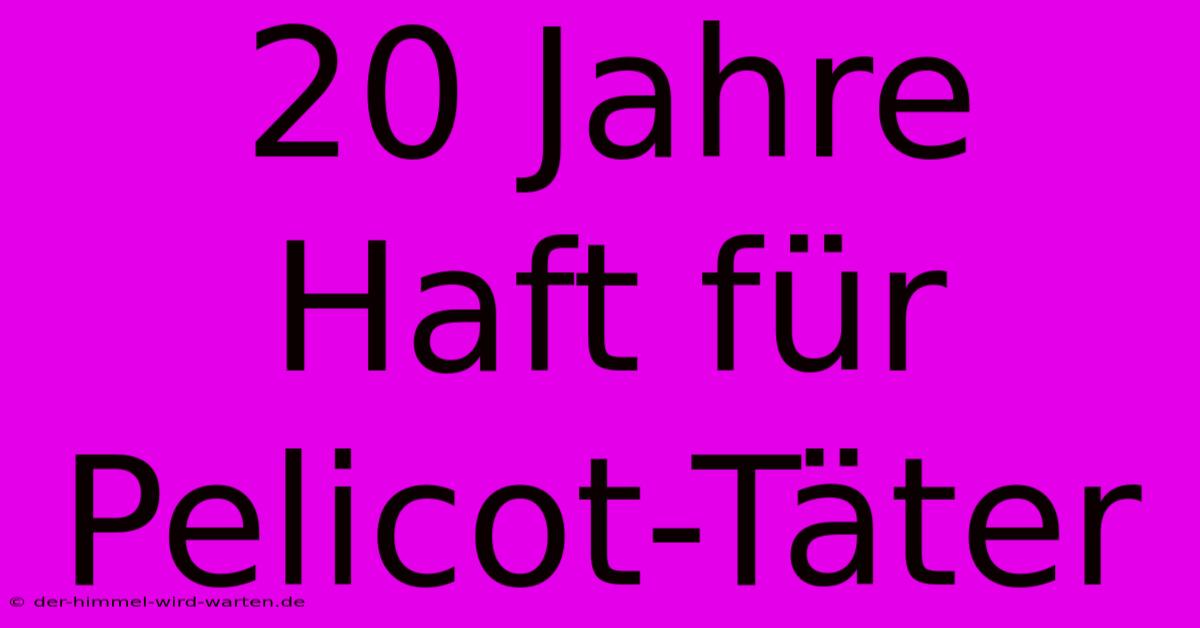 20 Jahre Haft Für Pelicot-Täter