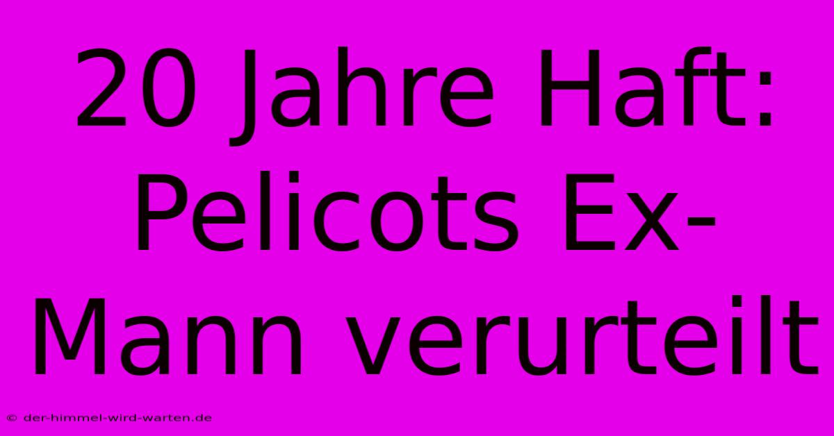 20 Jahre Haft: Pelicots Ex-Mann Verurteilt