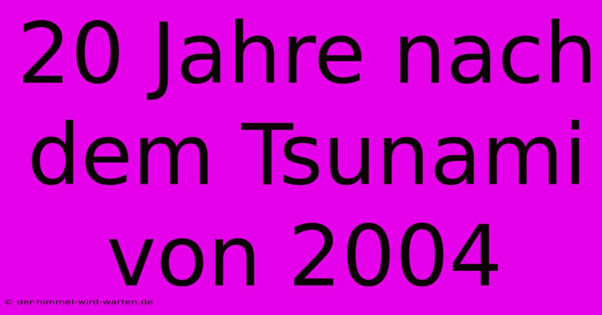 20 Jahre Nach Dem Tsunami Von 2004