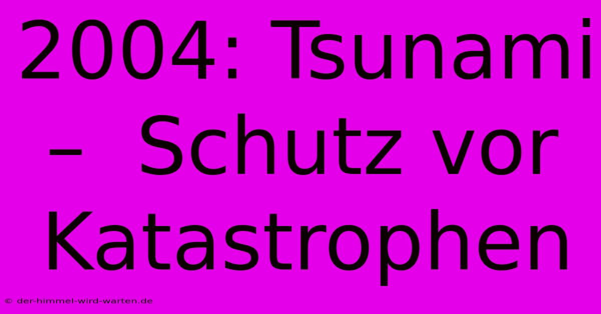 2004: Tsunami –  Schutz Vor Katastrophen