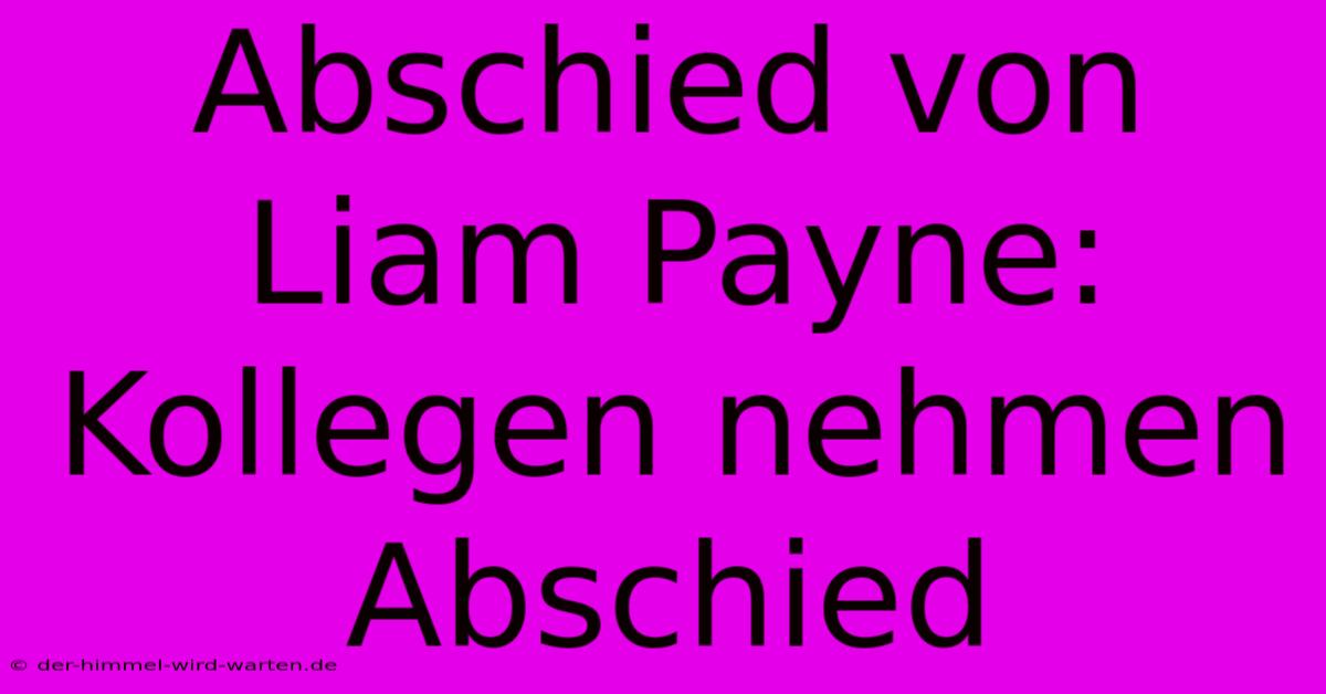 Abschied Von Liam Payne: Kollegen Nehmen Abschied