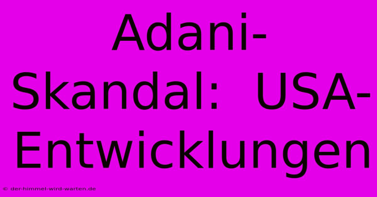 Adani-Skandal:  USA-Entwicklungen