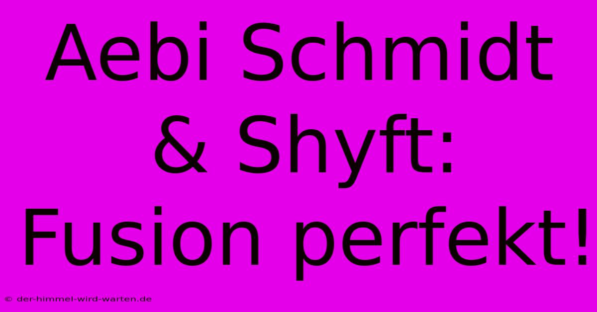 Aebi Schmidt & Shyft: Fusion Perfekt!