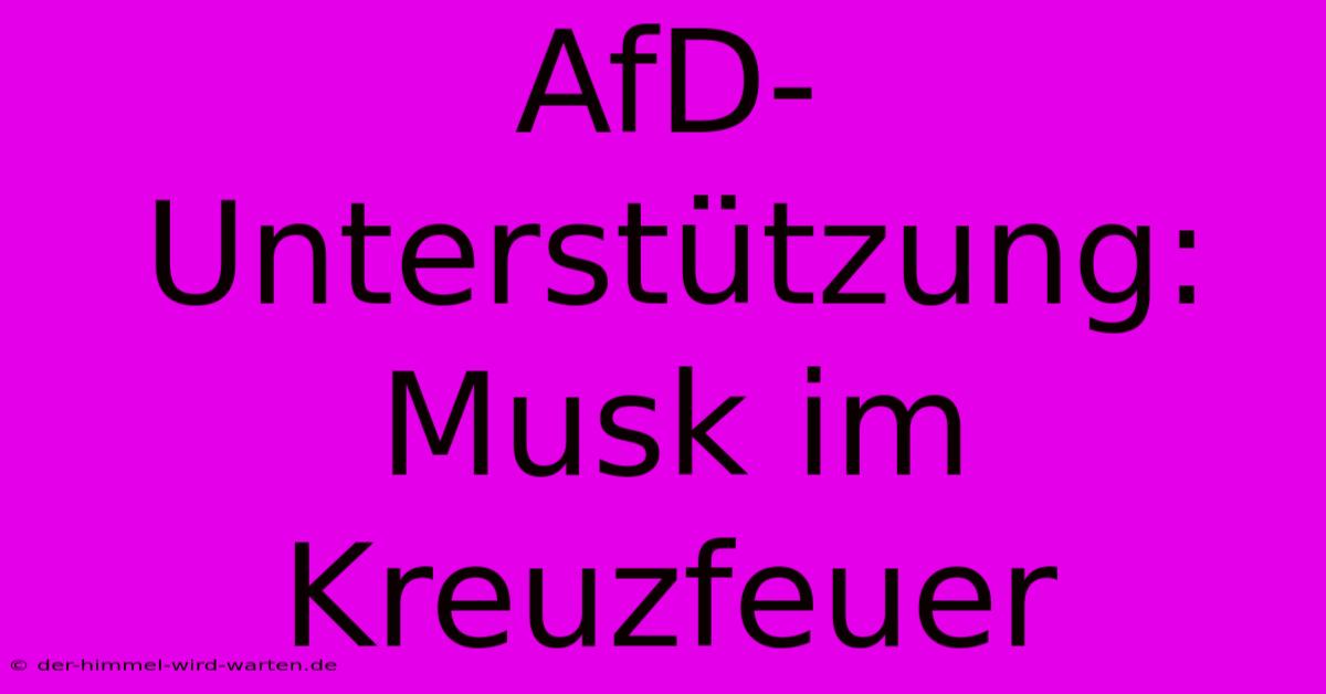 AfD-Unterstützung: Musk Im Kreuzfeuer