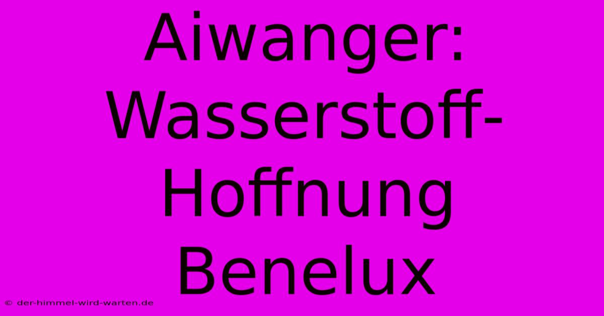 Aiwanger: Wasserstoff-Hoffnung Benelux