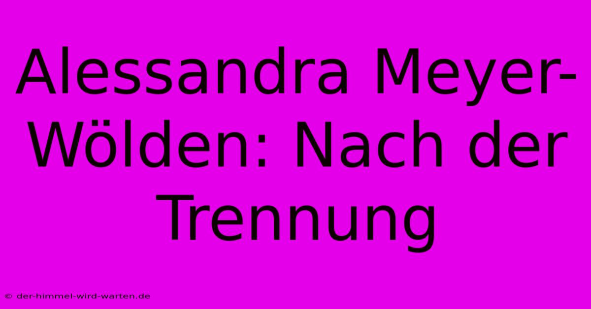 Alessandra Meyer-Wölden: Nach Der Trennung