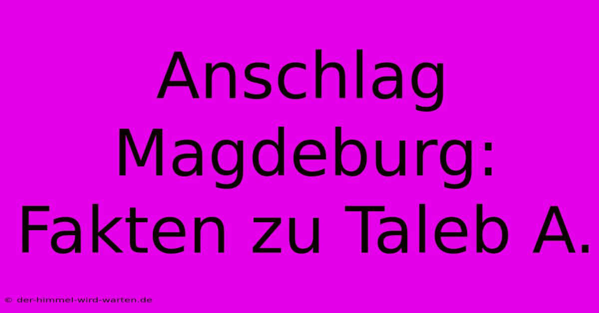 Anschlag Magdeburg: Fakten Zu Taleb A.