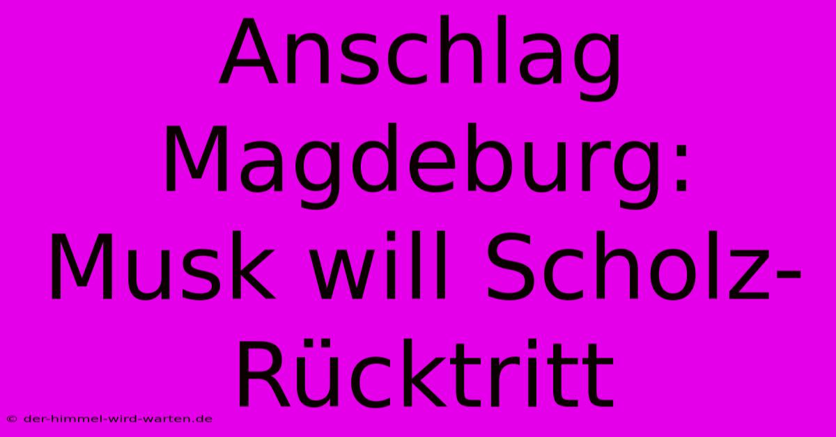 Anschlag Magdeburg: Musk Will Scholz-Rücktritt