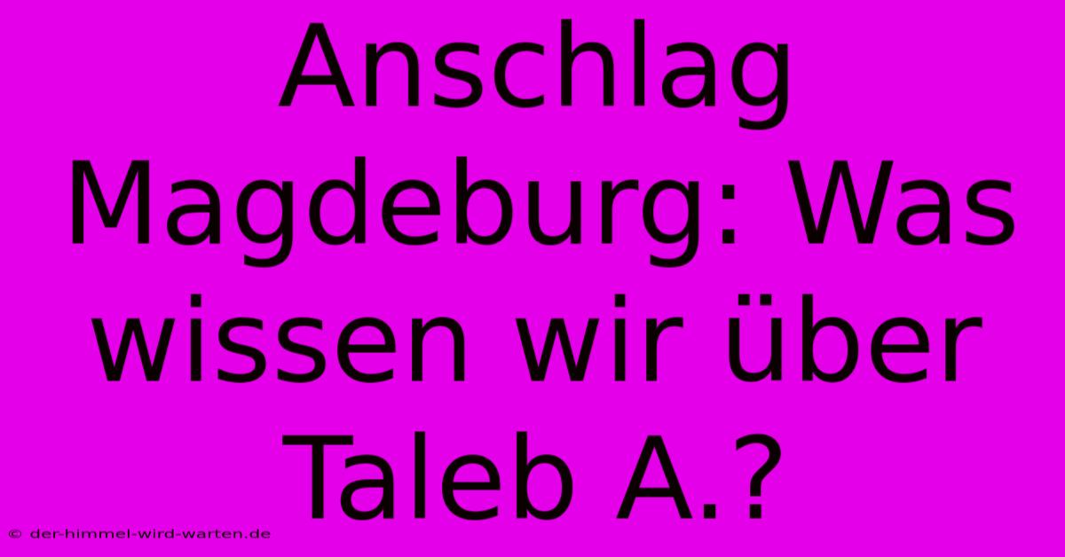 Anschlag Magdeburg: Was Wissen Wir Über Taleb A.?