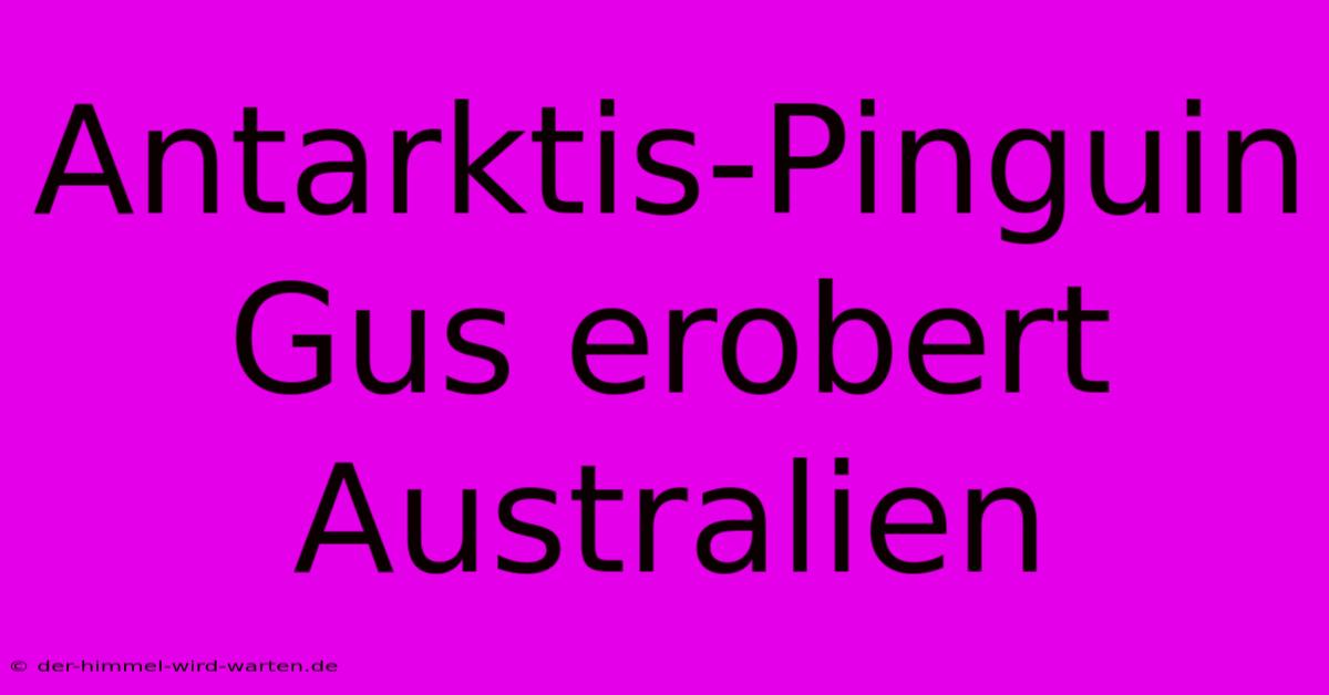 Antarktis-Pinguin Gus Erobert Australien