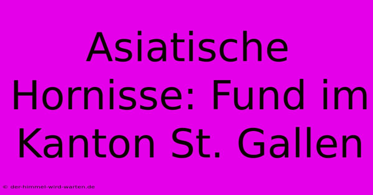 Asiatische Hornisse: Fund Im Kanton St. Gallen