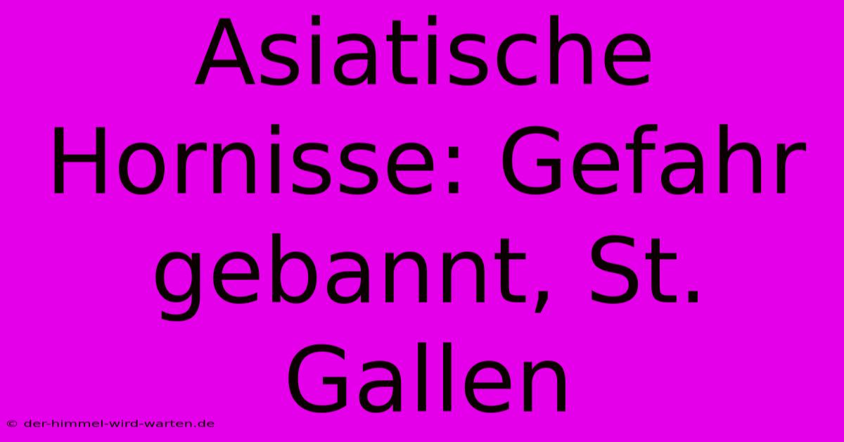 Asiatische Hornisse: Gefahr Gebannt, St. Gallen