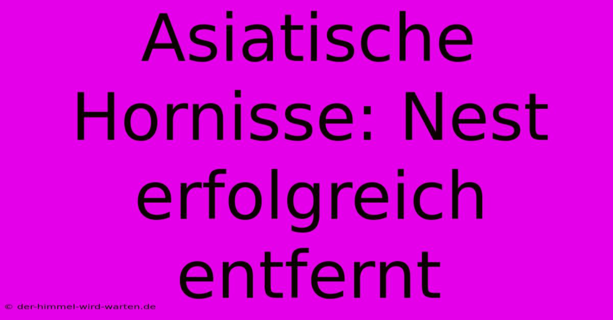 Asiatische Hornisse: Nest Erfolgreich Entfernt