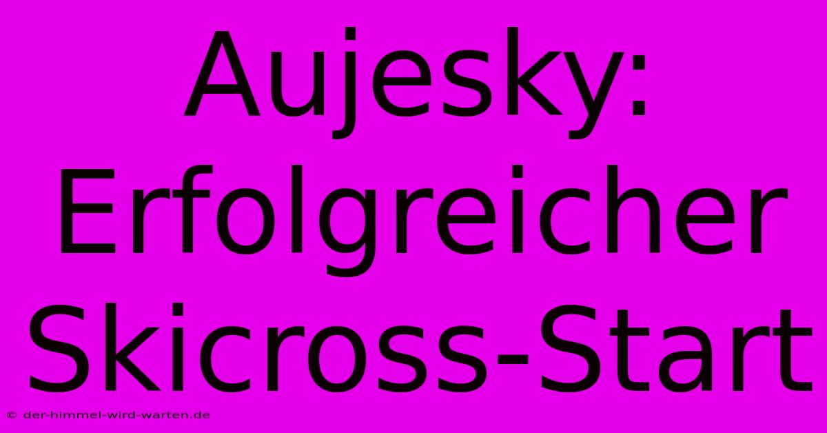 Aujesky: Erfolgreicher Skicross-Start