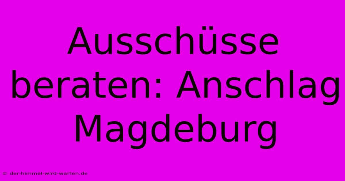 Ausschüsse Beraten: Anschlag Magdeburg