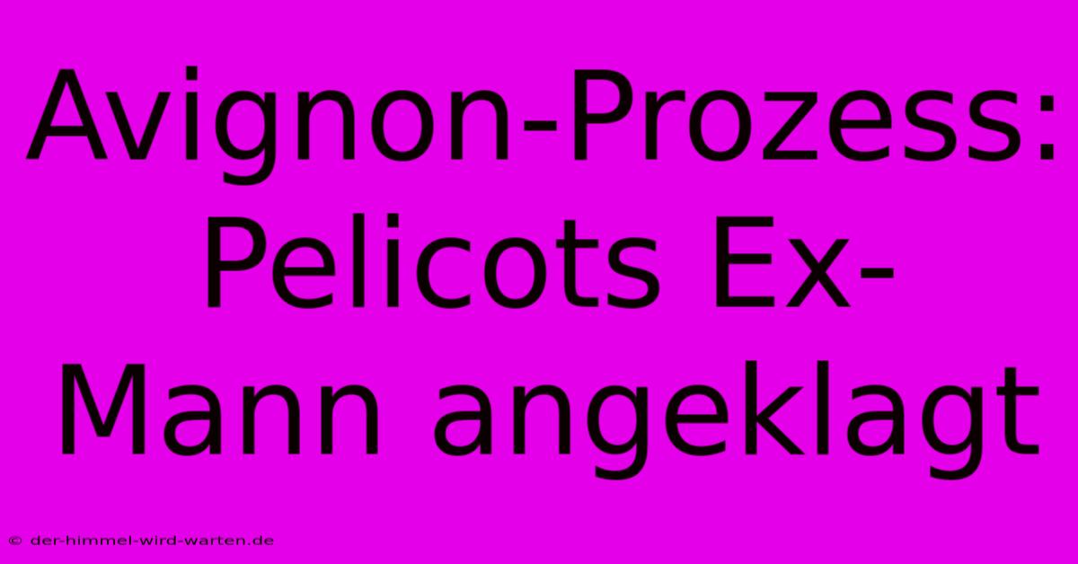 Avignon-Prozess: Pelicots Ex-Mann Angeklagt