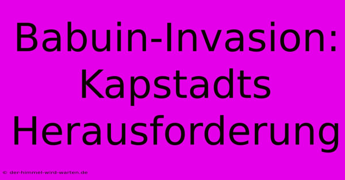 Babuin-Invasion: Kapstadts Herausforderung