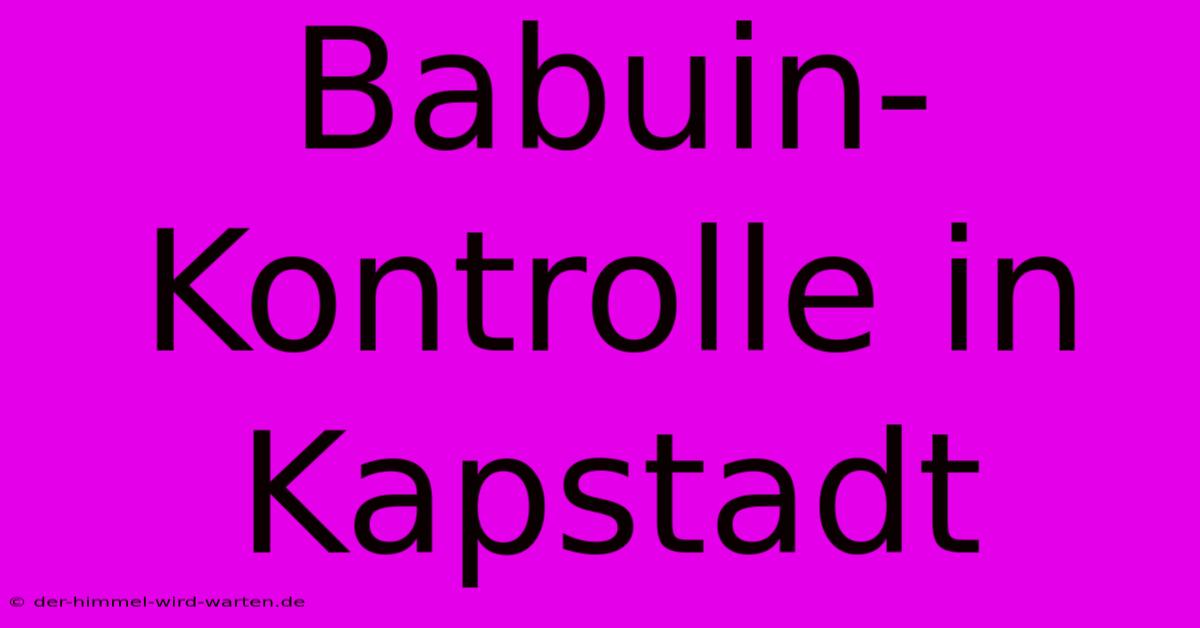 Babuin-Kontrolle In Kapstadt