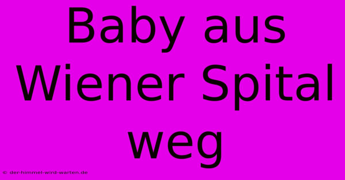 Baby Aus Wiener Spital Weg