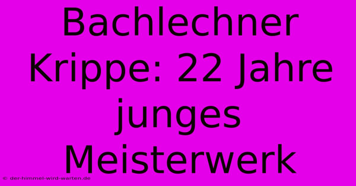 Bachlechner Krippe: 22 Jahre Junges Meisterwerk