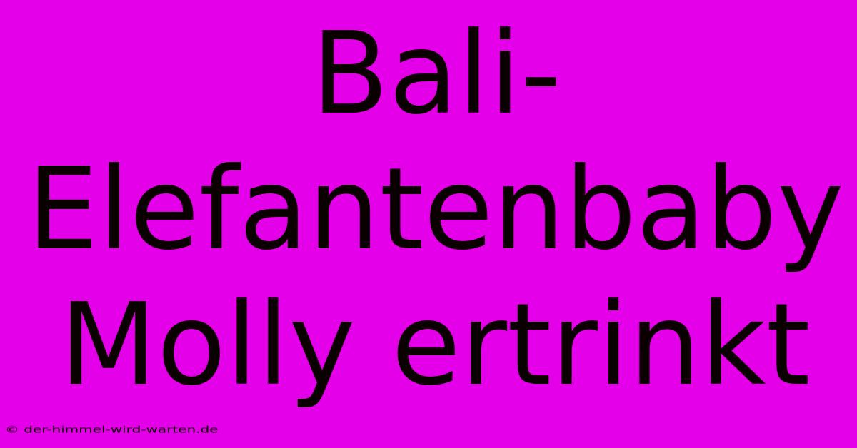 Bali-Elefantenbaby Molly Ertrinkt