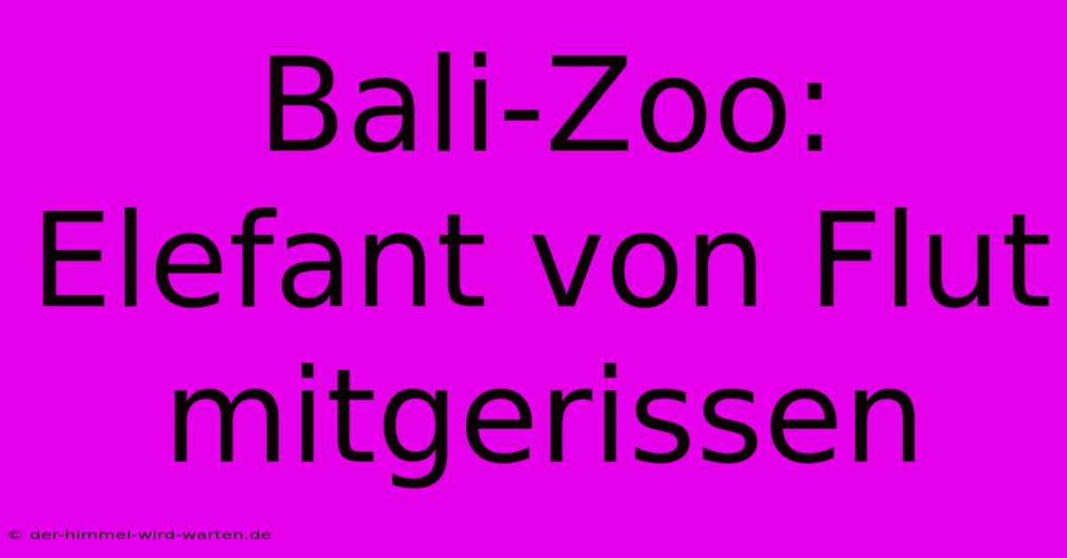 Bali-Zoo: Elefant Von Flut Mitgerissen