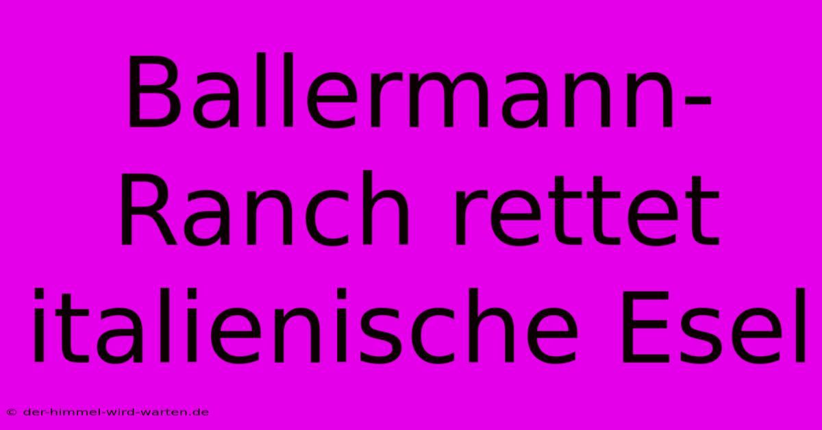 Ballermann-Ranch Rettet Italienische Esel