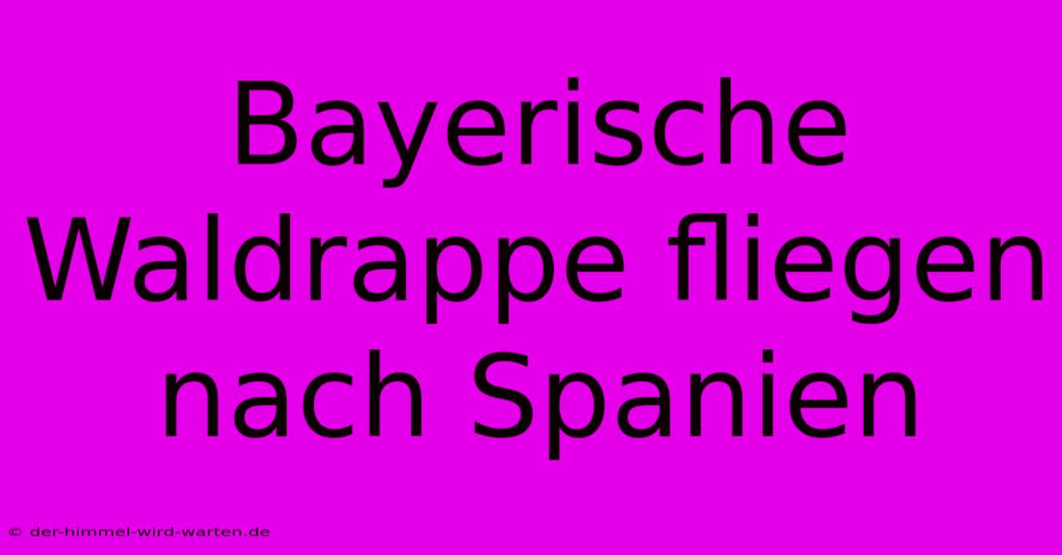 Bayerische Waldrappe Fliegen Nach Spanien