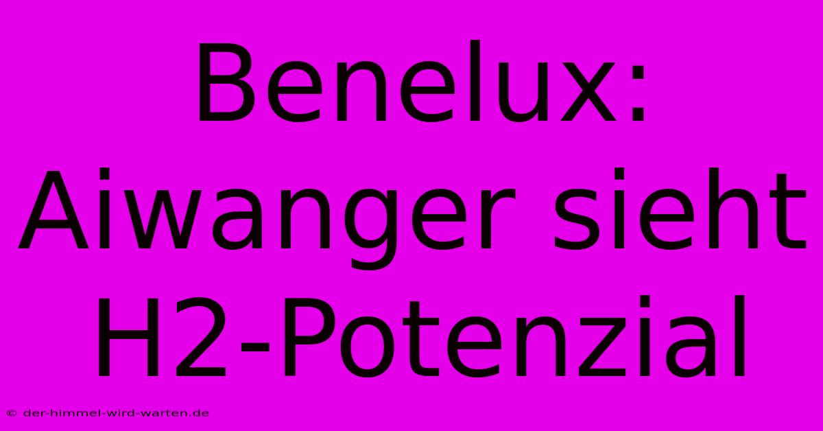 Benelux: Aiwanger Sieht H2-Potenzial