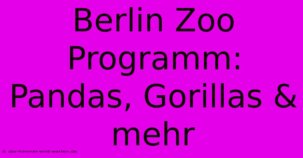 Berlin Zoo Programm: Pandas, Gorillas & Mehr