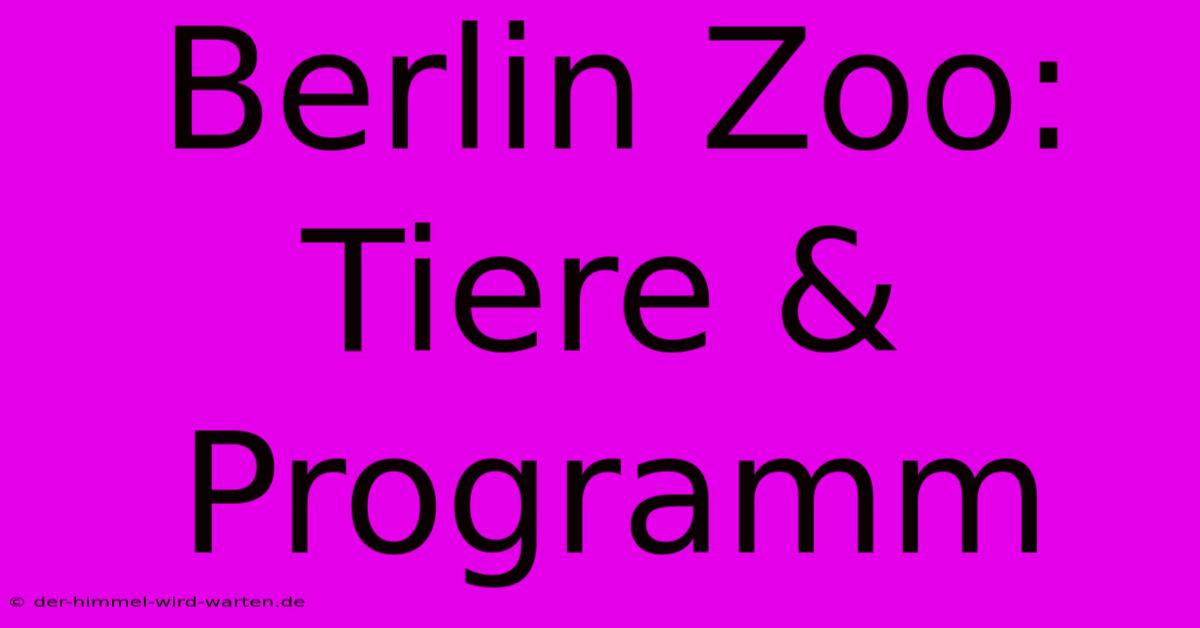 Berlin Zoo: Tiere & Programm