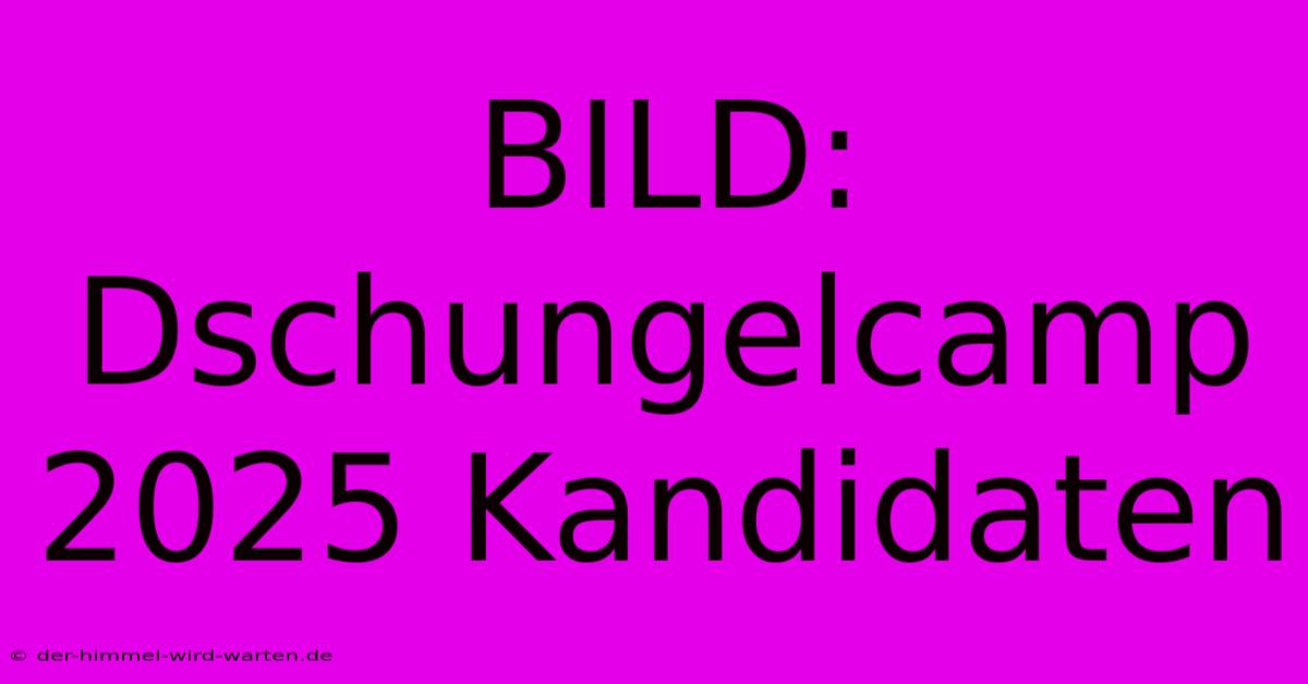 BILD: Dschungelcamp 2025 Kandidaten