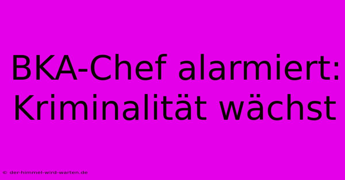 BKA-Chef Alarmiert: Kriminalität Wächst