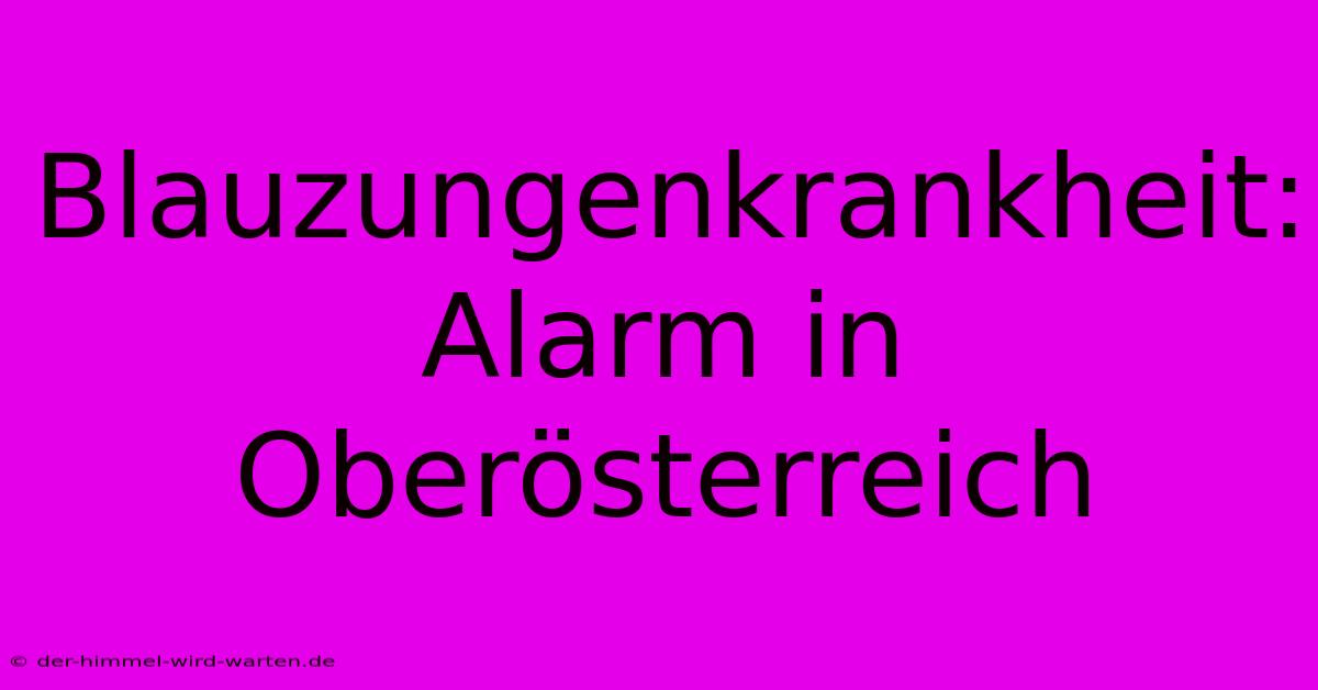 Blauzungenkrankheit: Alarm In Oberösterreich