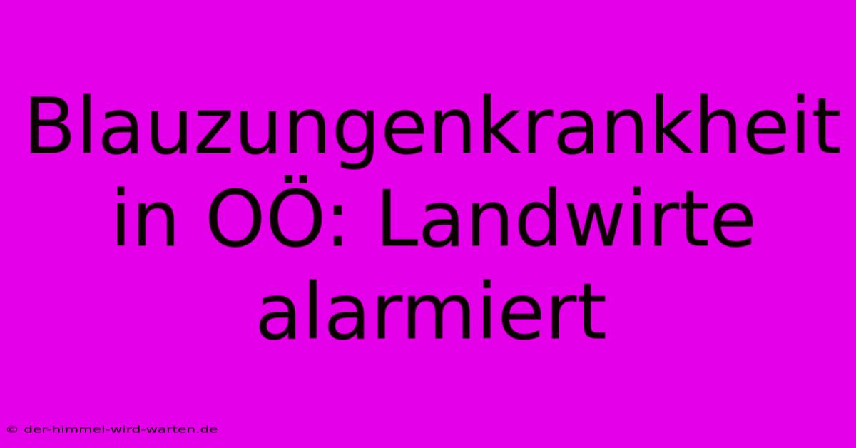 Blauzungenkrankheit In OÖ: Landwirte Alarmiert