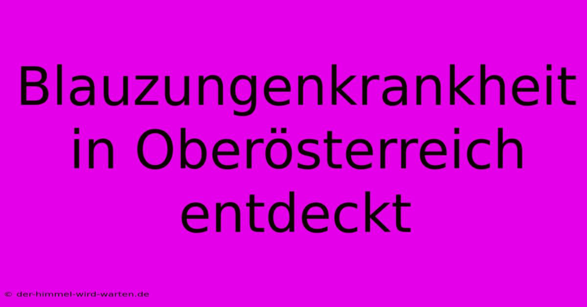 Blauzungenkrankheit In Oberösterreich Entdeckt