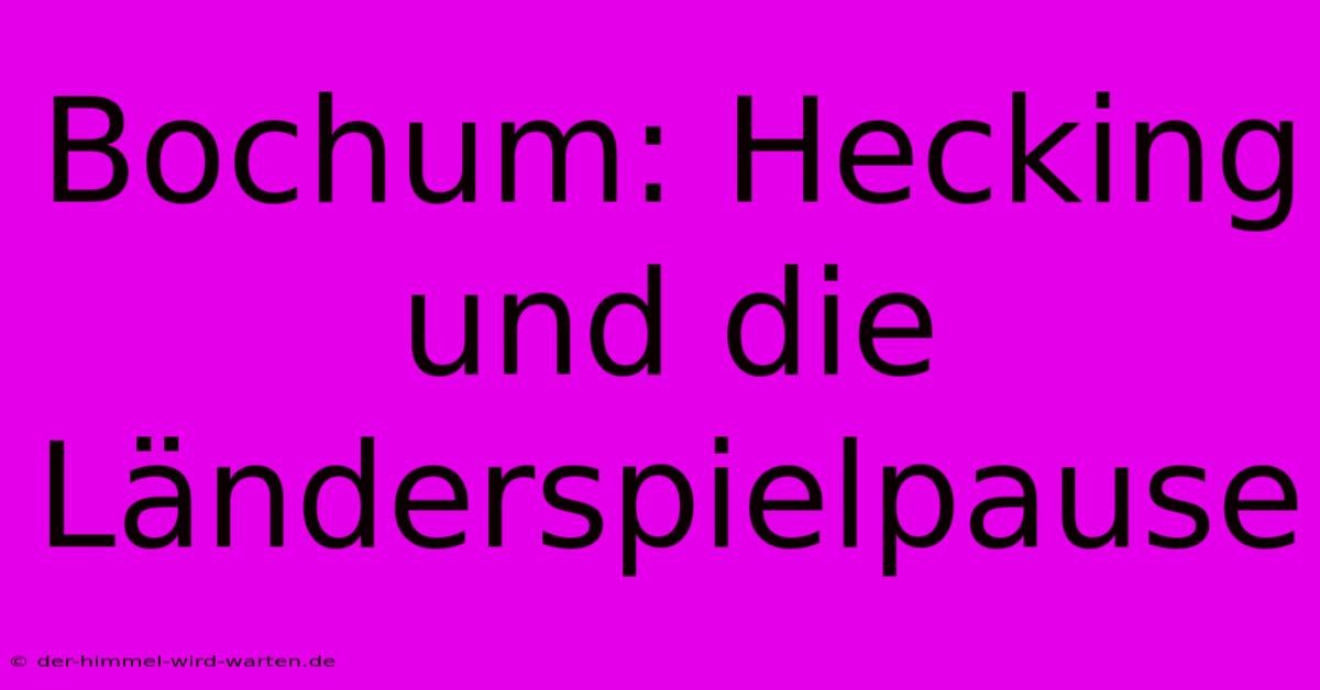 Bochum: Hecking Und Die Länderspielpause