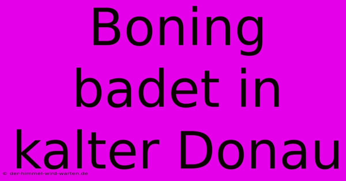 Boning Badet In Kalter Donau