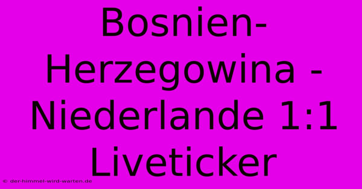 Bosnien-Herzegowina - Niederlande 1:1 Liveticker