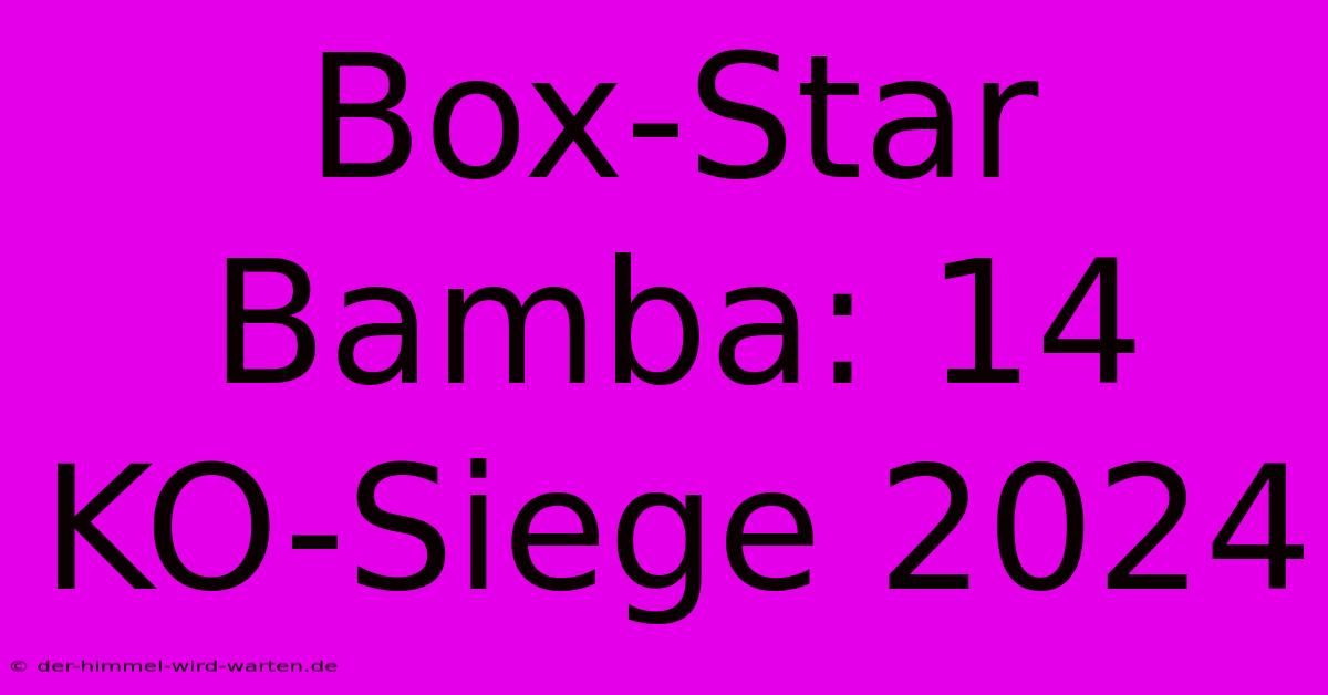 Box-Star Bamba: 14 KO-Siege 2024