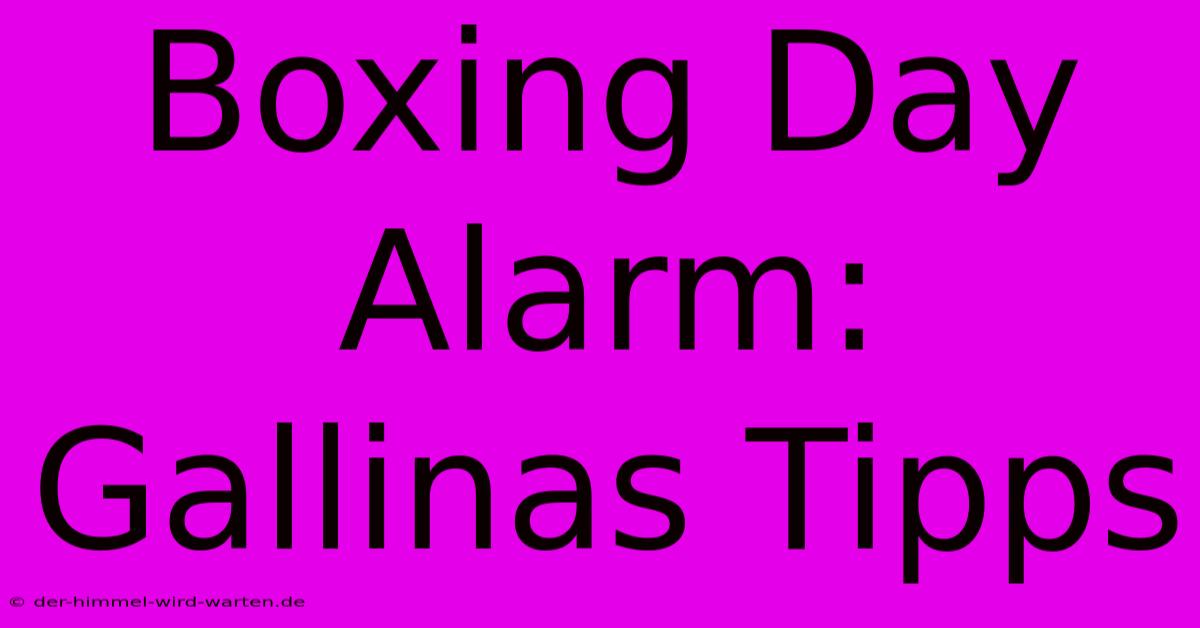 Boxing Day Alarm: Gallinas Tipps