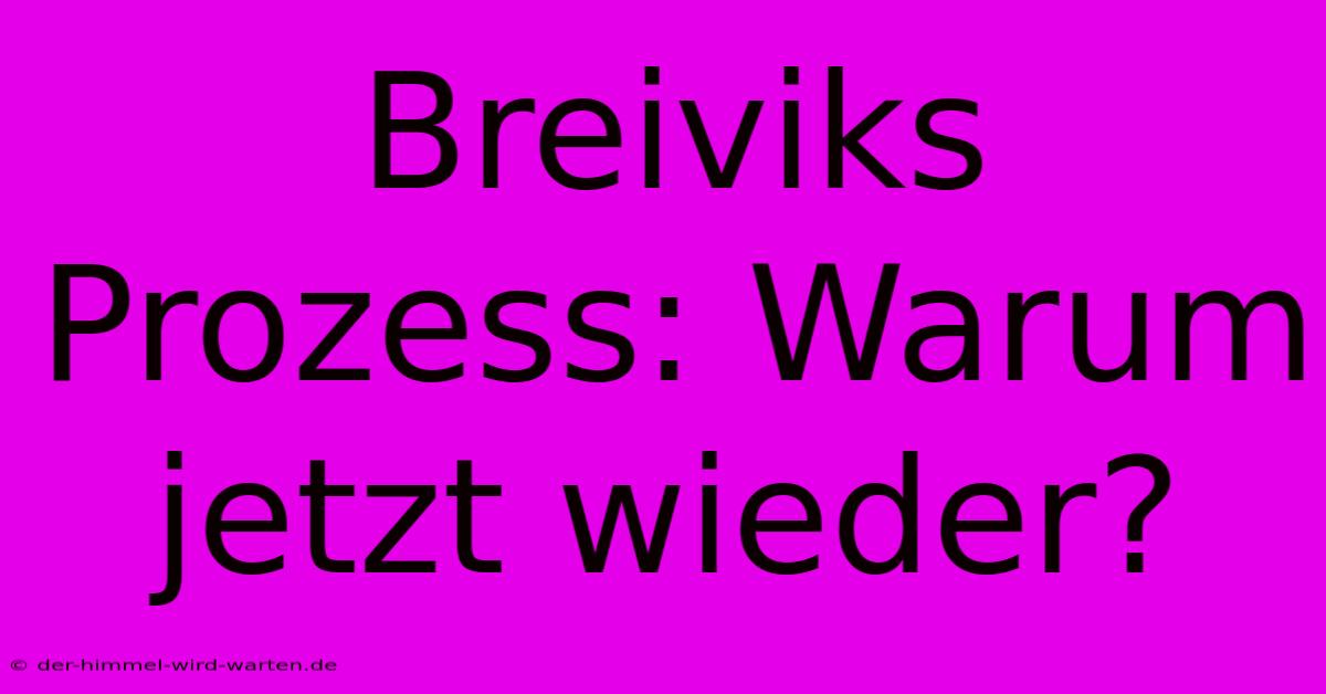 Breiviks Prozess: Warum Jetzt Wieder?