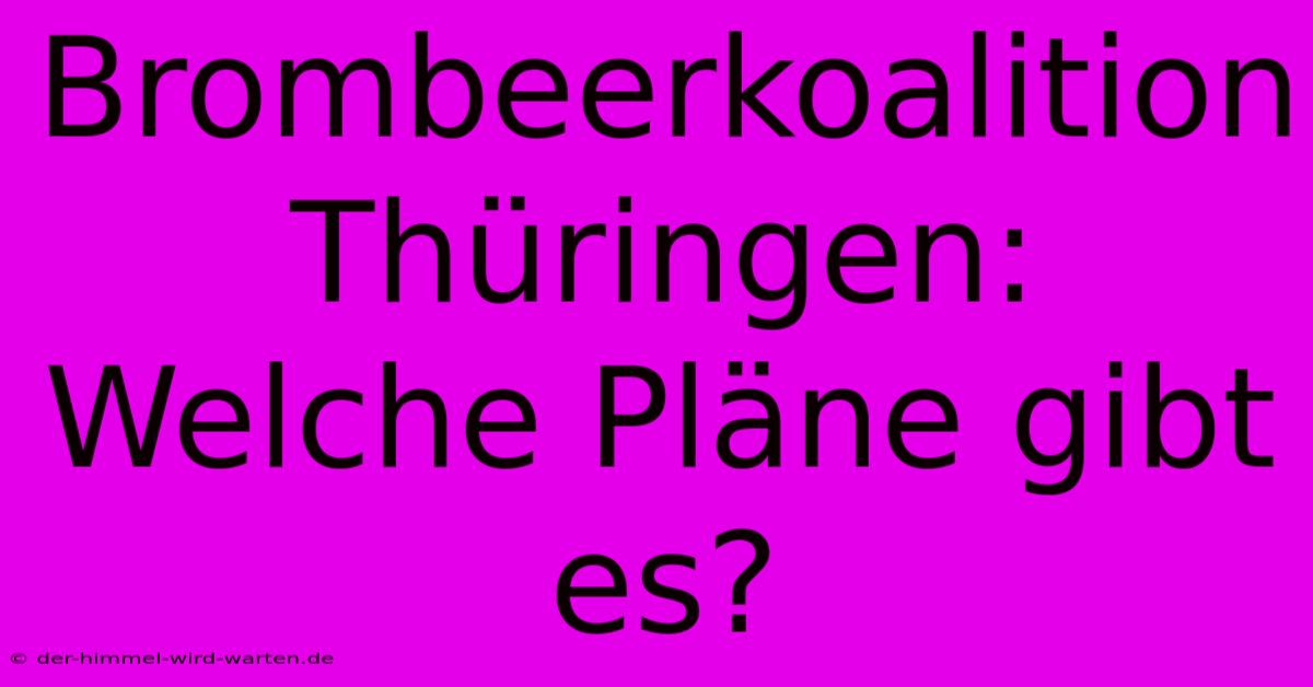 Brombeerkoalition Thüringen:  Welche Pläne Gibt Es?